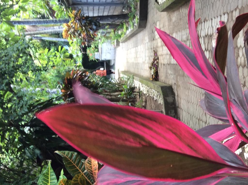 Bali Guest Villas Legian Exterior foto